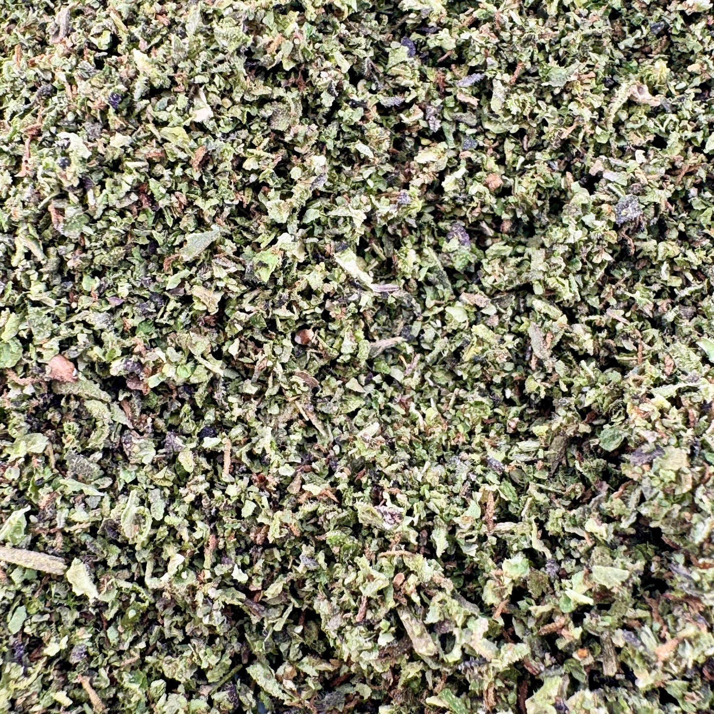 Close-up of green leafy substance