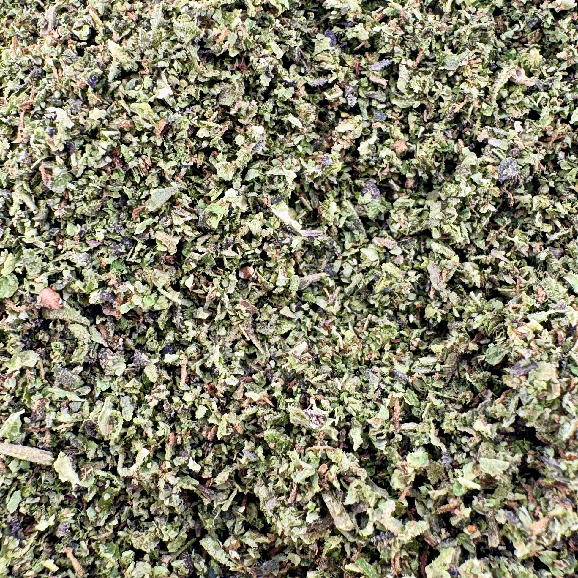 Close-up of green leafy substance