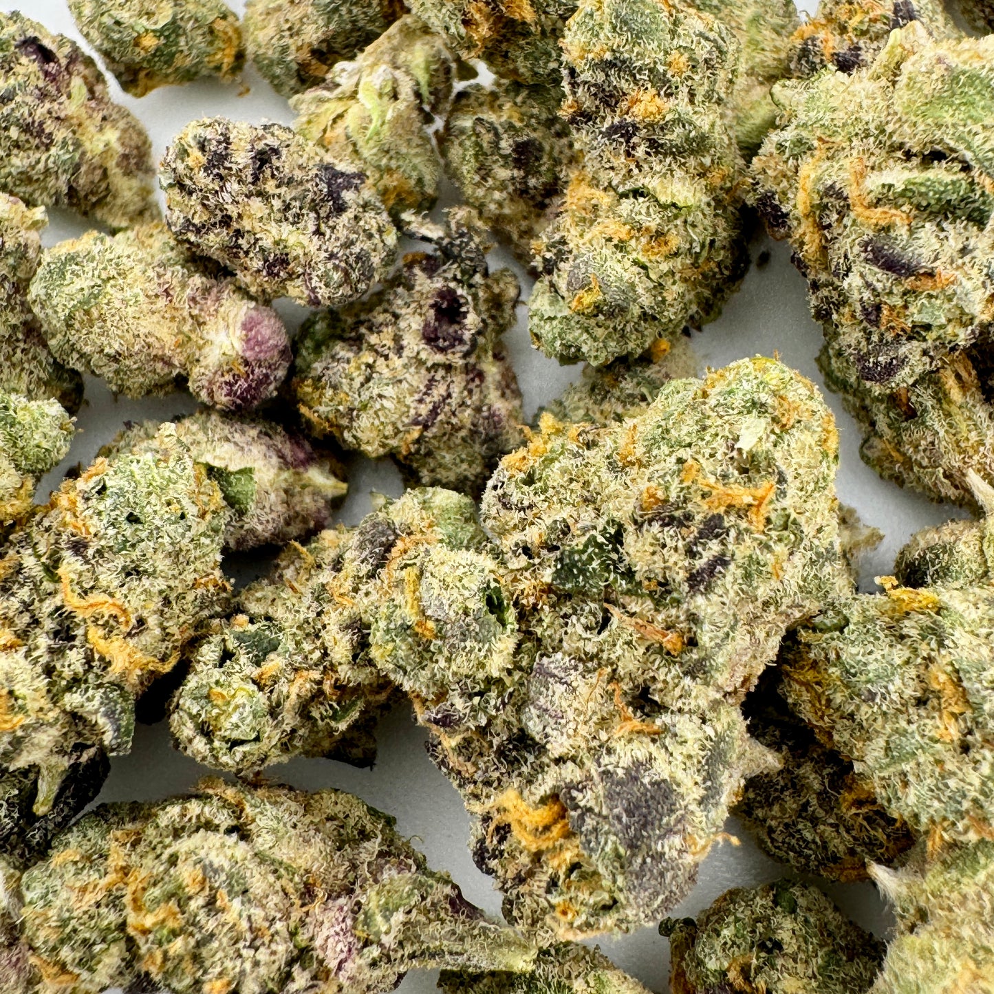 Close-up of dried cannabis buds with a white background