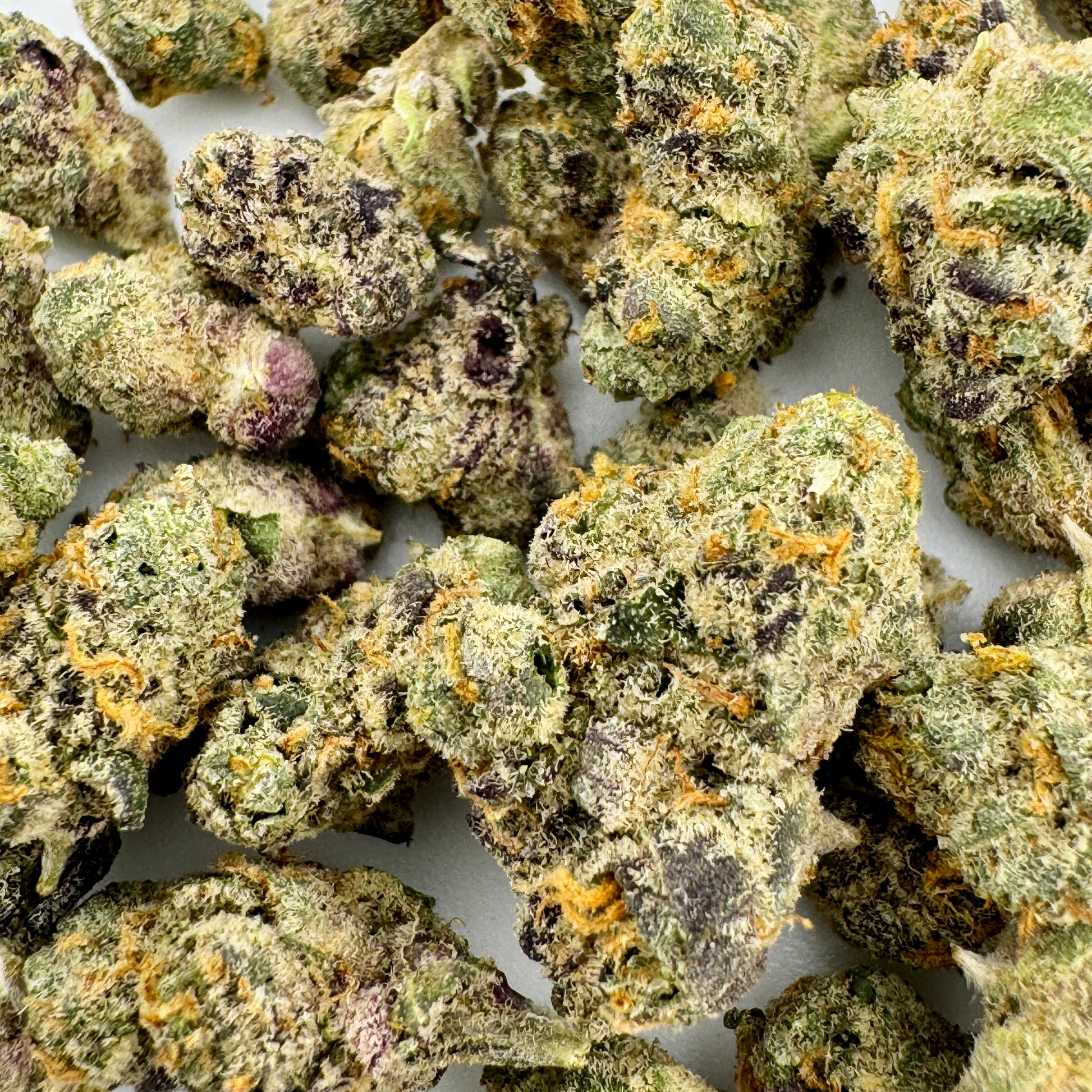Close-up of dried cannabis buds with a white background