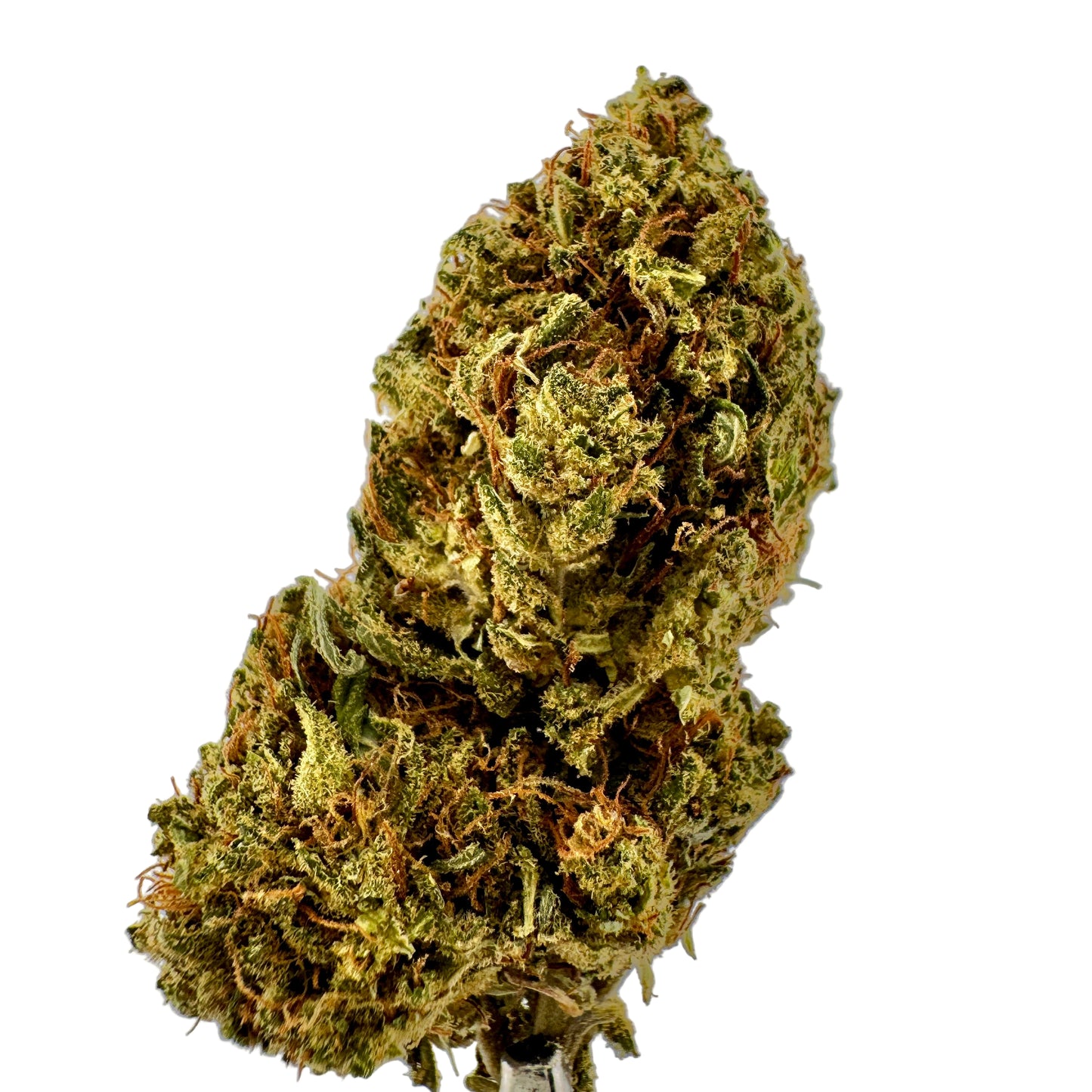 Close-up of a cannabis bud on a gray background