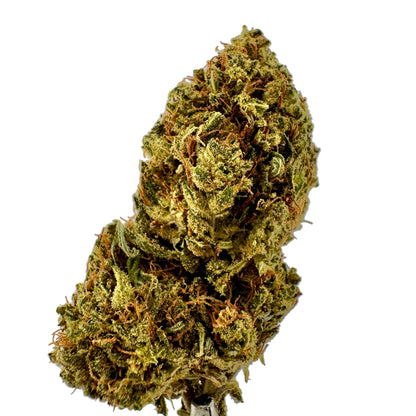 Close-up of a cannabis bud on a gray background