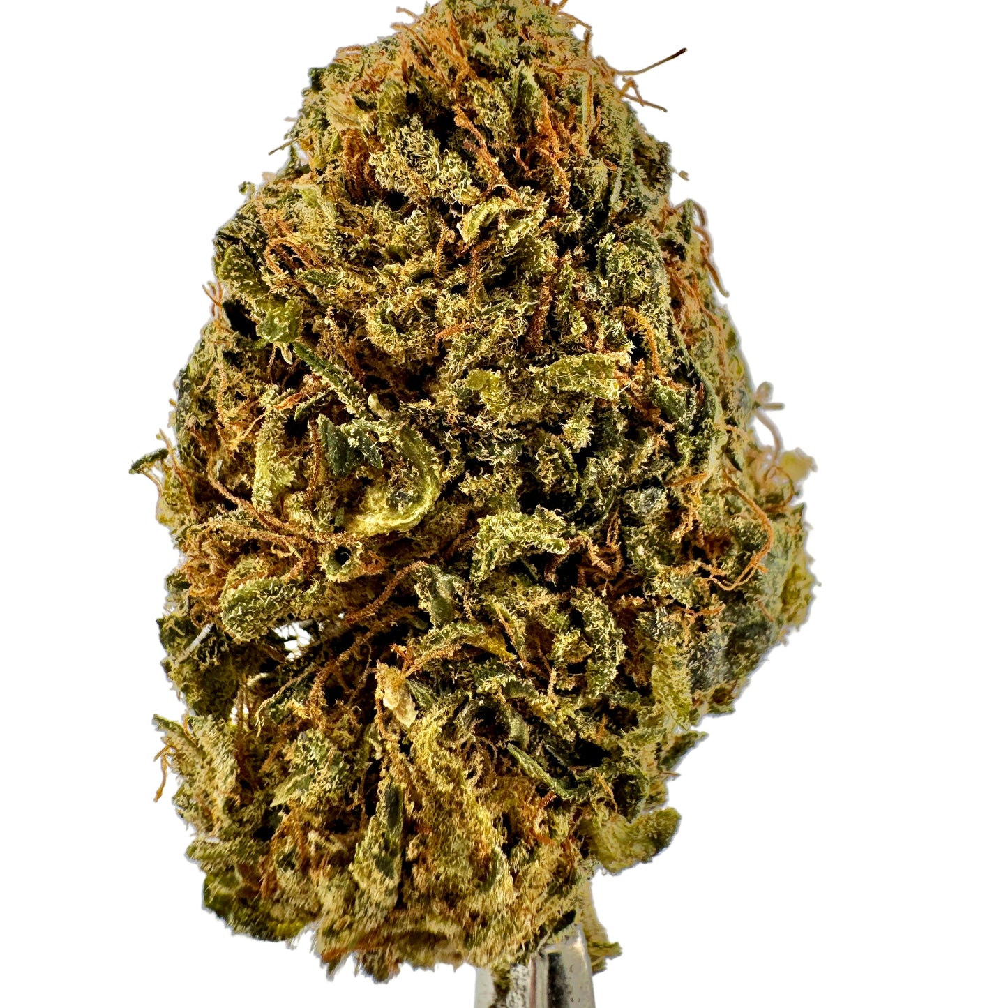 Close-up of a cannabis bud on a gray background