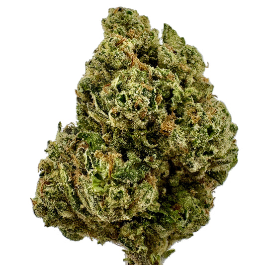 Close-up of a cannabis bud on a light gray background