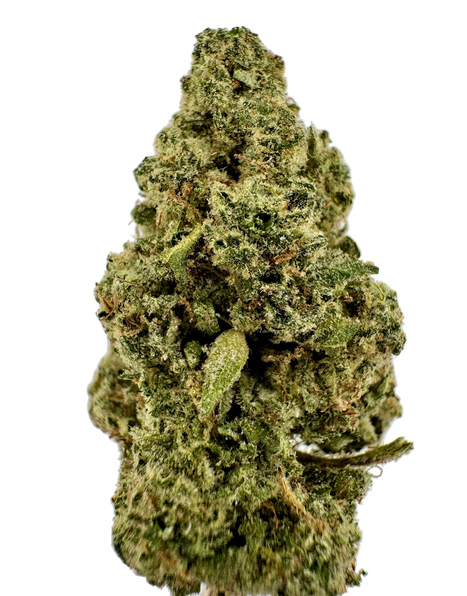 Close-up of a cannabis bud on a light gray background