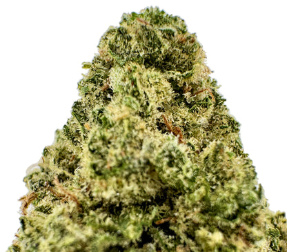 Close-up of a cannabis bud with a light gray background