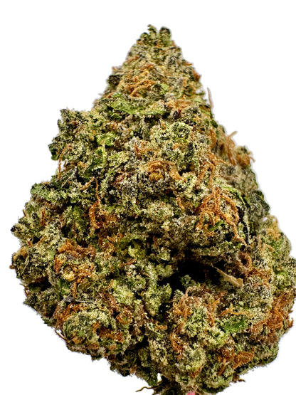 Close-up of a cannabis bud with green and brown color on a white background