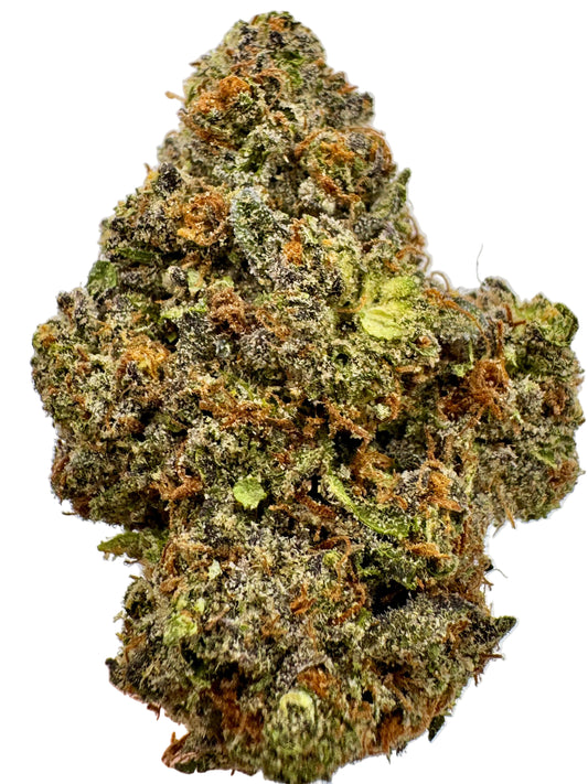 Close-up of a cannabis bud held by a hand against a neutral background