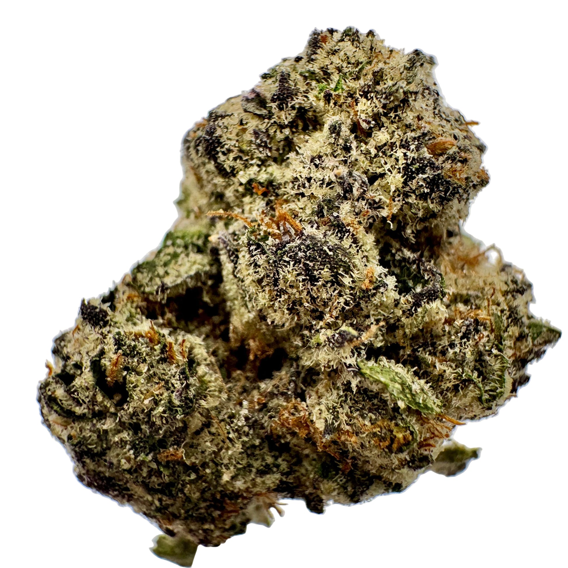 Close-up of a cannabis bud on a white background