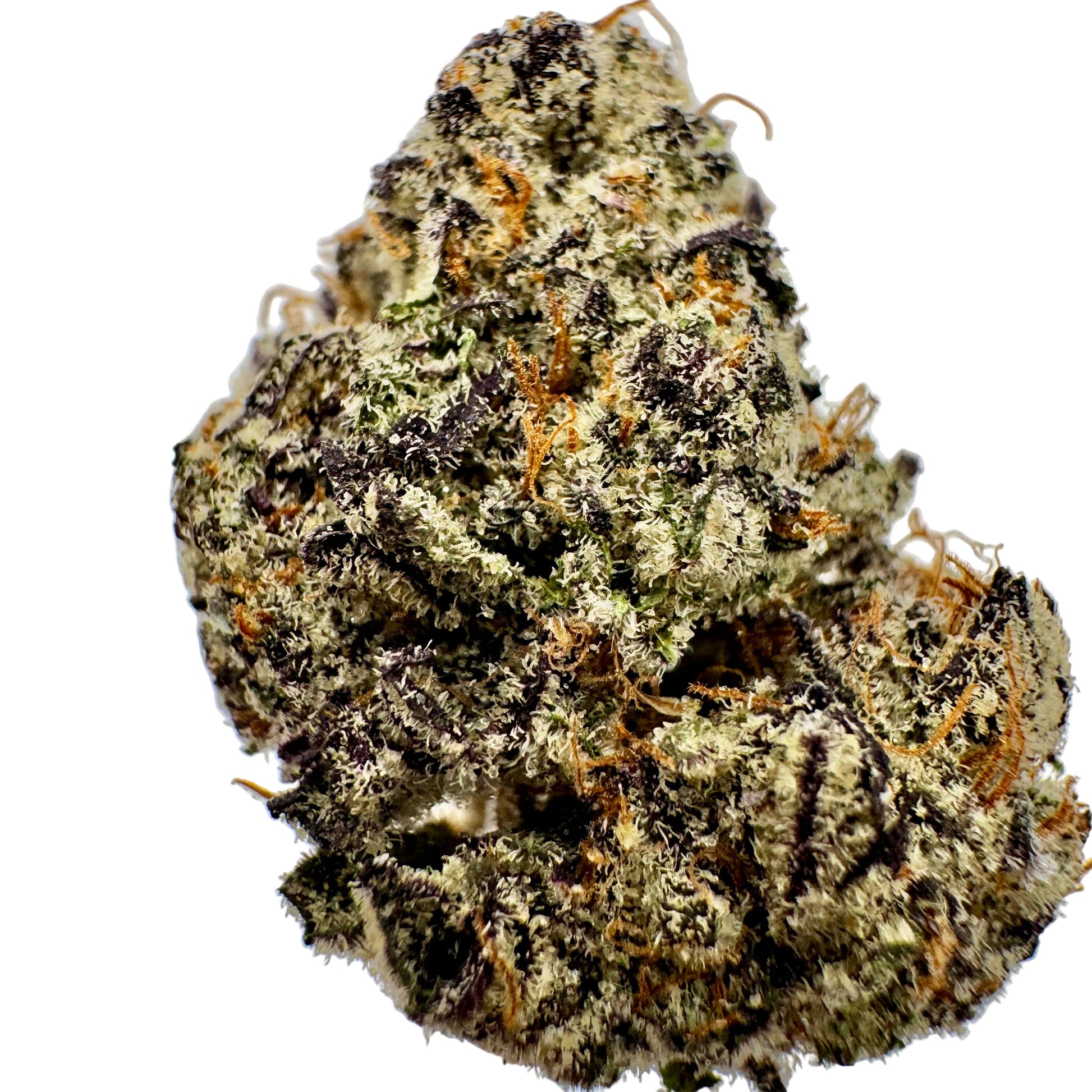 Close-up of a cannabis bud with a gray background