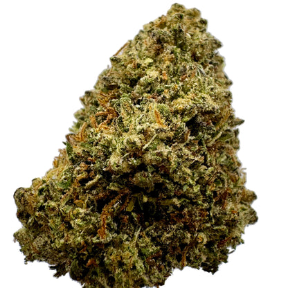 Close-up of a large cannabis bud on a light gray background