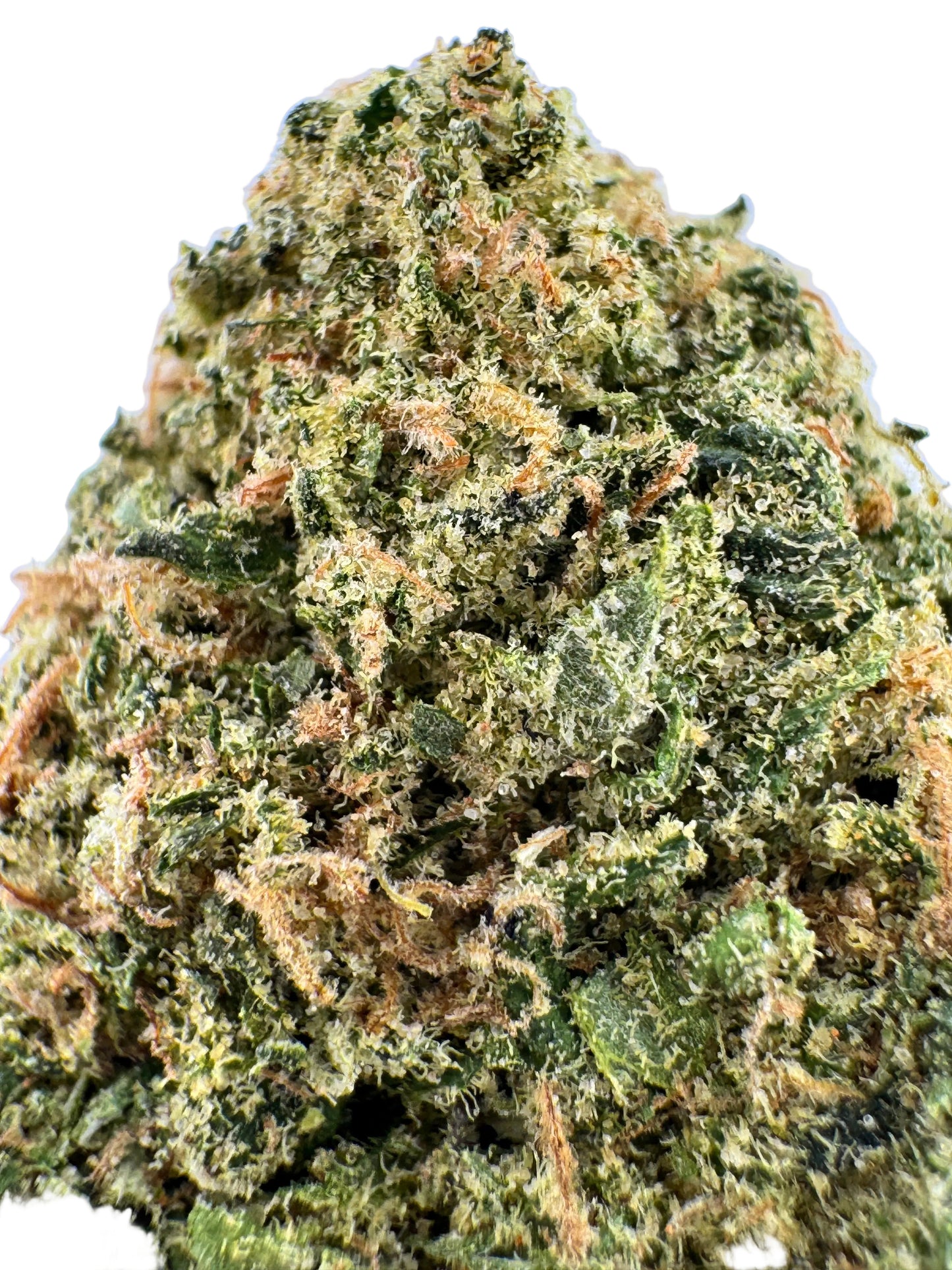 Close-up of a cannabis bud with green and brown colors on a light blue background