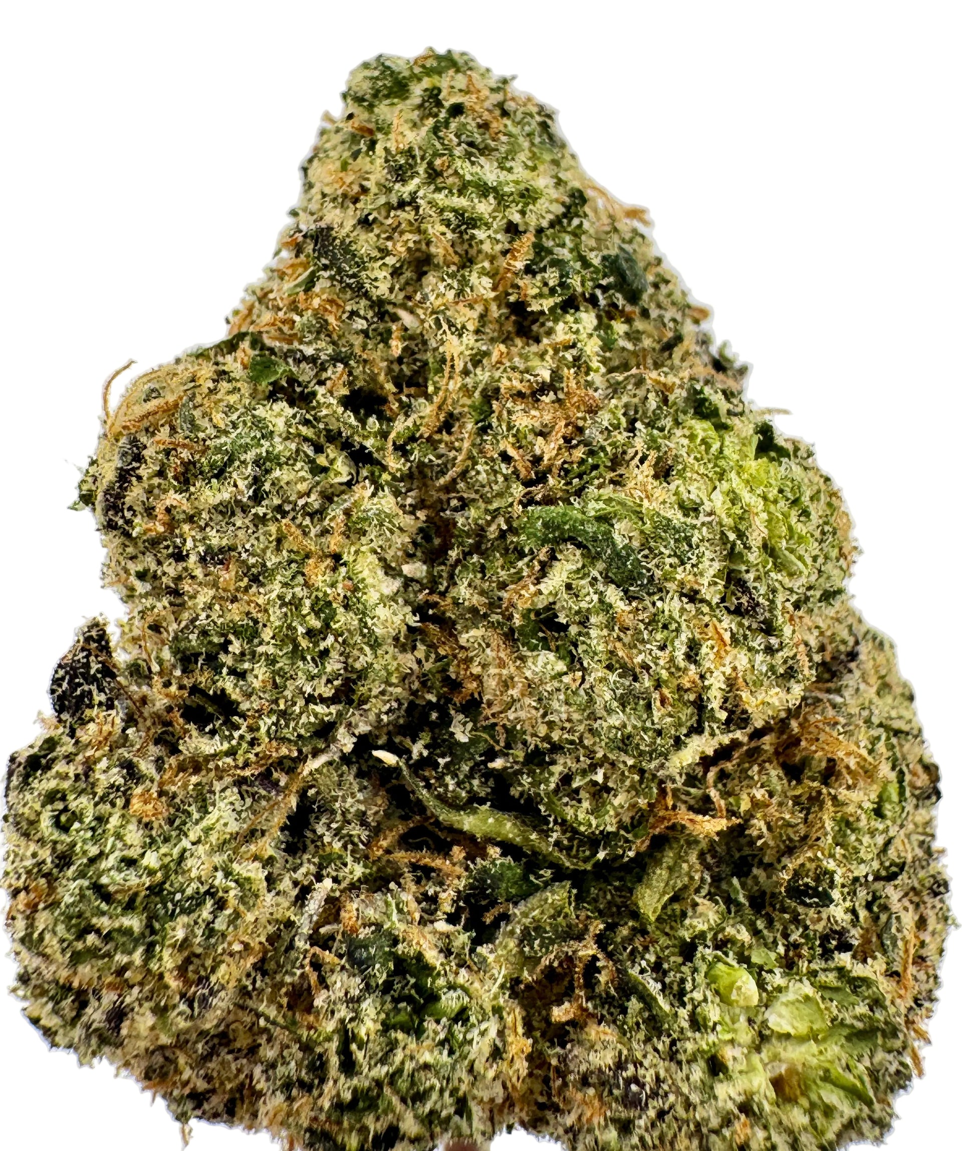 Close-up of a cannabis bud on a white background