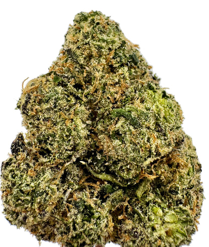 Close-up of a cannabis bud on a white background