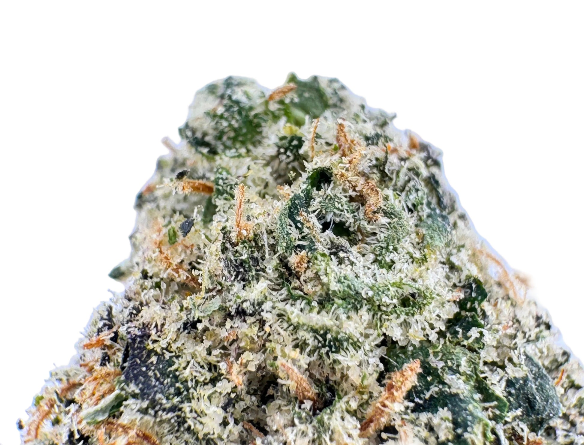 Close-up of a cannabis bud with trichomes on a light blue background