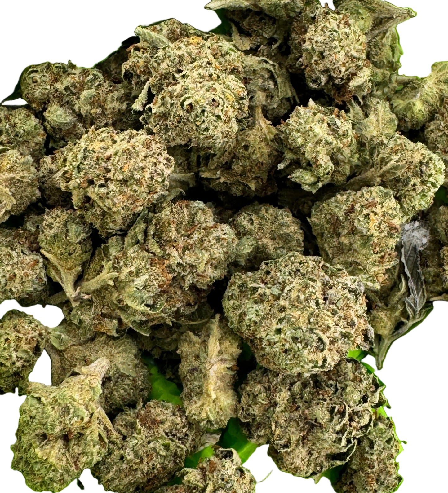 Dry cannabis buds on a green surface with a green glove