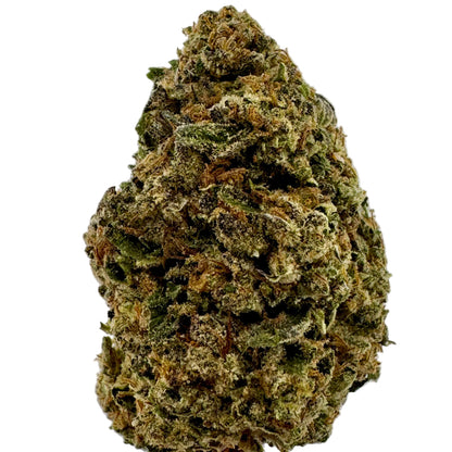 Close-up of a cannabis bud on a light gray background