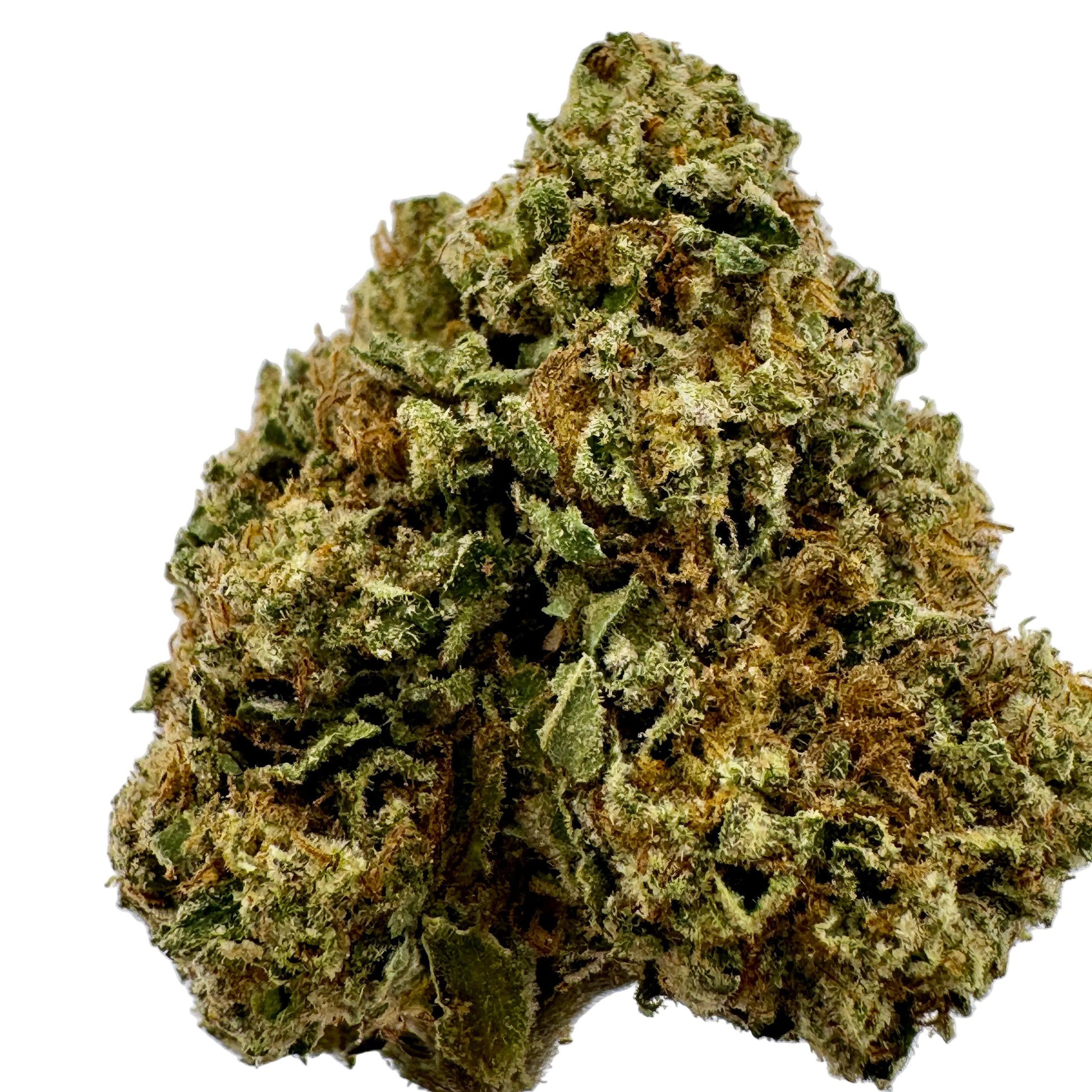 Close-up of a cannabis bud on a light gray background