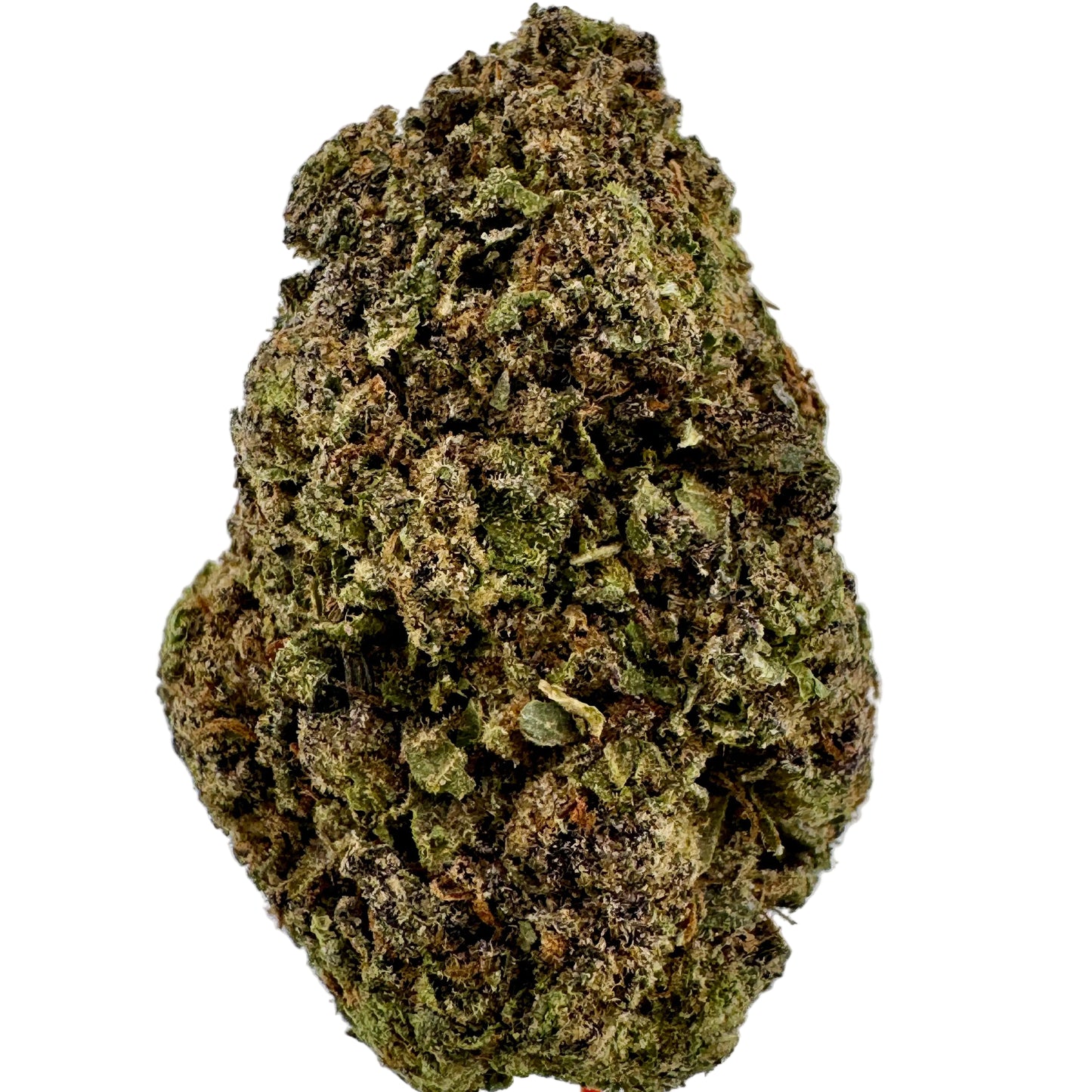 Close-up of a cannabis bud on a light gray background