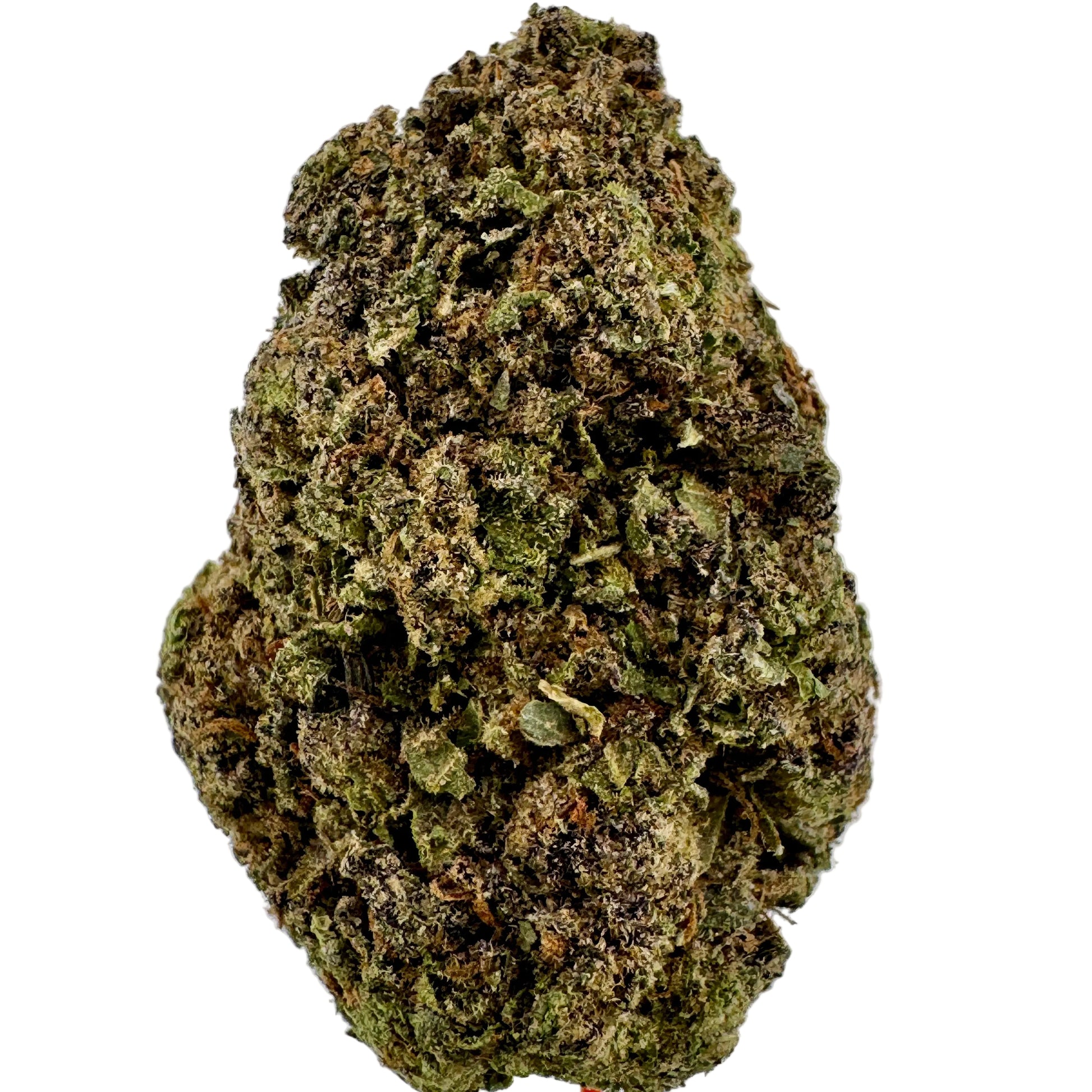 Close-up of a cannabis bud on a light gray background