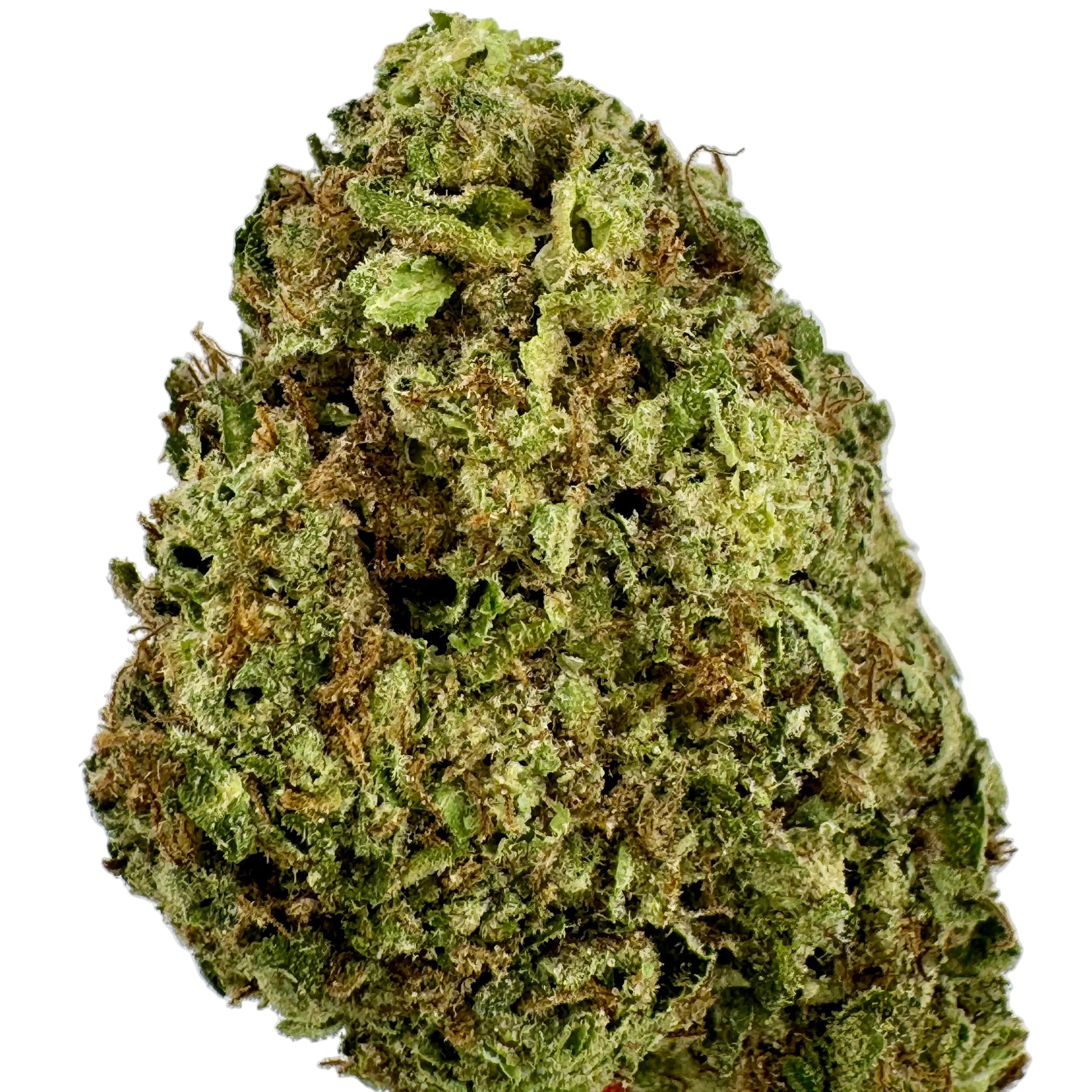 Close-up of a cannabis bud on a light gray background