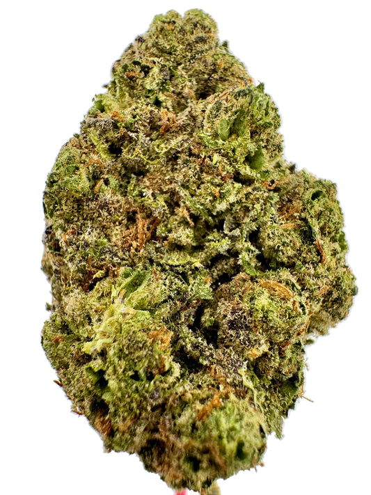 Close-up of a cannabis bud on a light gray background