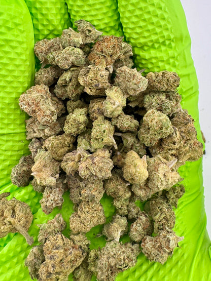 Green gloved hand holding a pile of dried cannabis buds against a white background