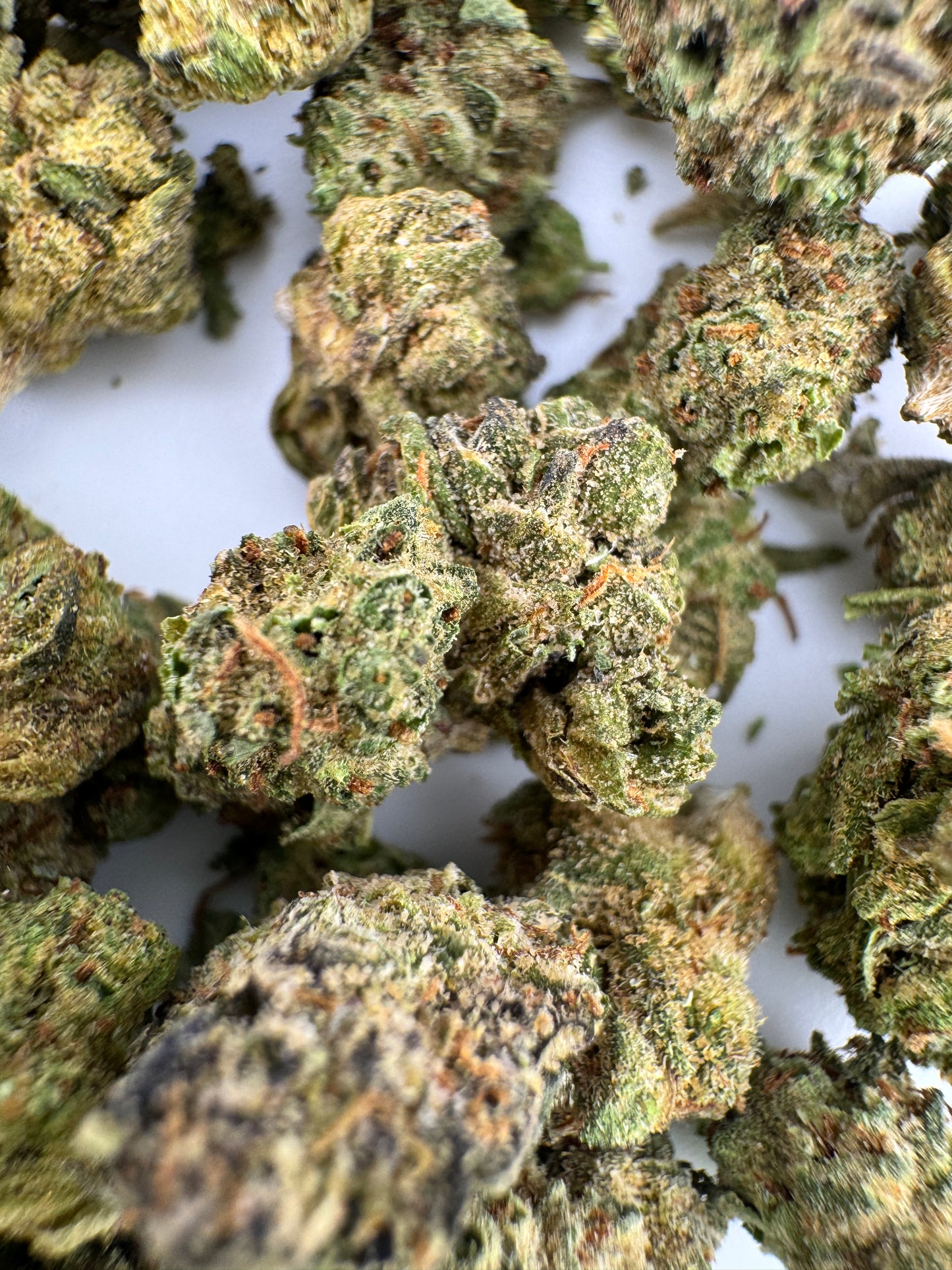 Close-up of dried cannabis buds on a white background