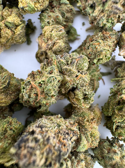 Close-up of dried cannabis buds on a white background