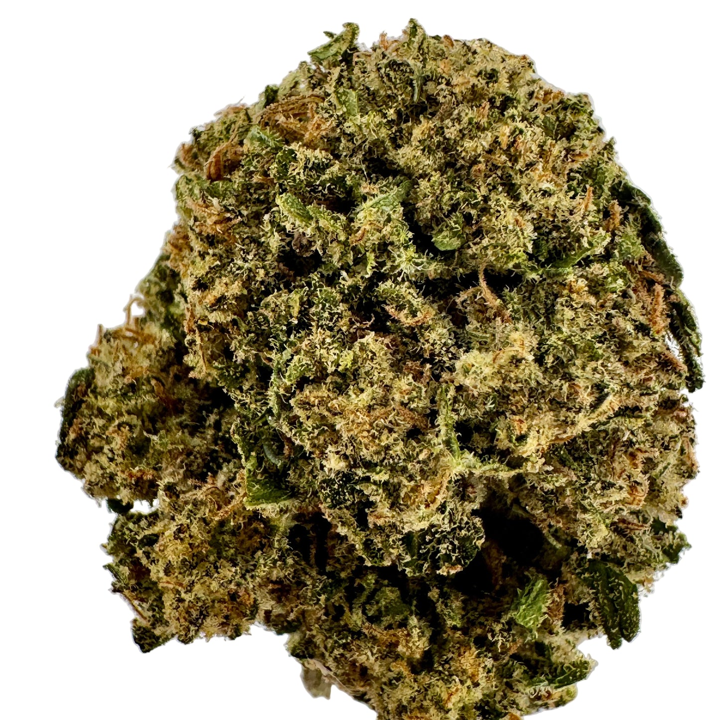 Close-up of a cannabis bud on a light gray background