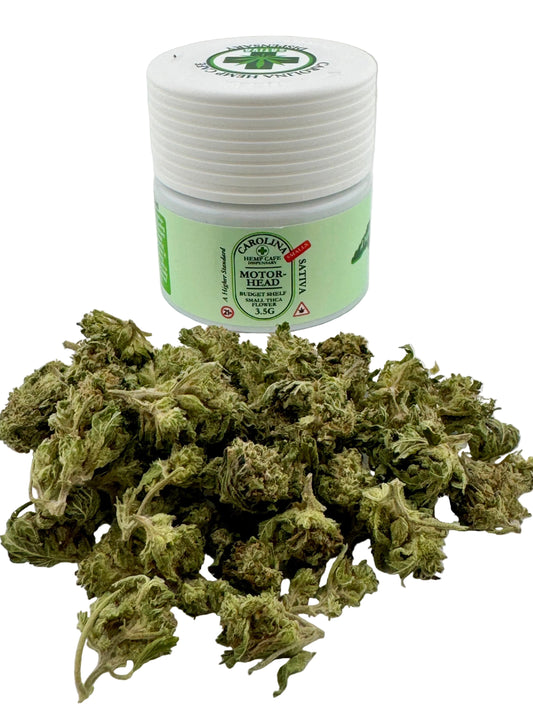 Jar of 'Motor Head' cannabis product with cannabis buds on a white background