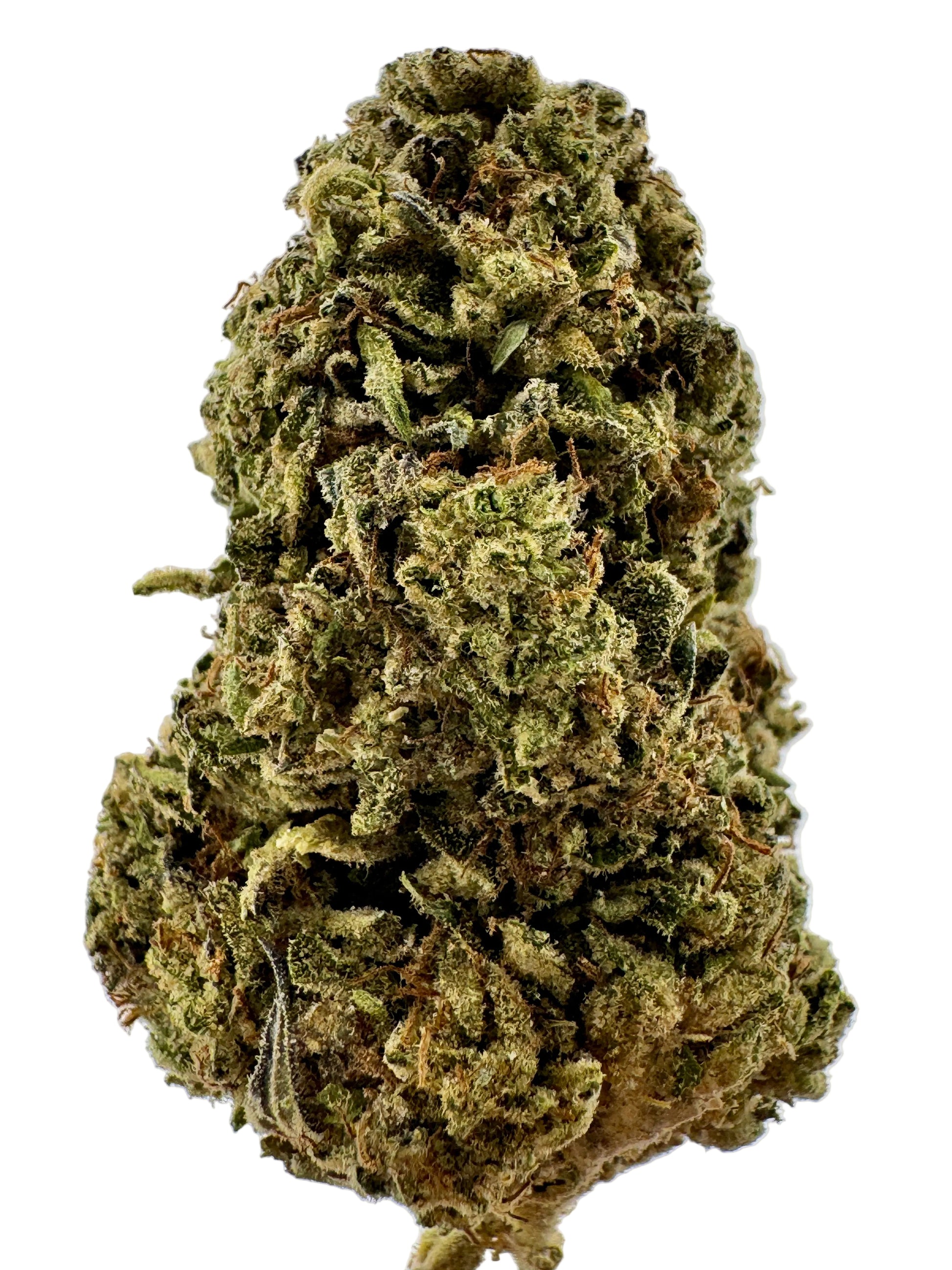 Close-up of a cannabis bud on a light gray background