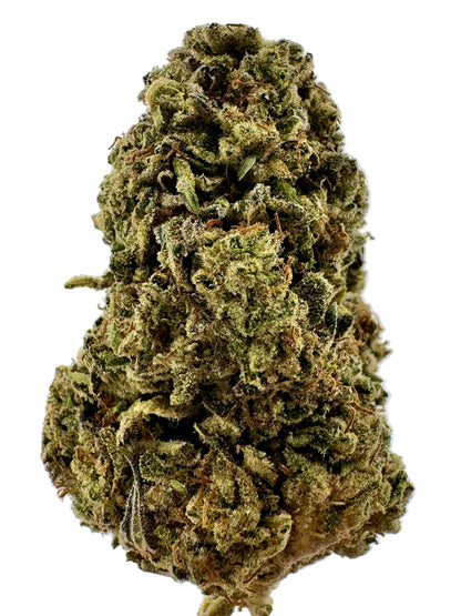 Close-up of a cannabis bud on a light gray background