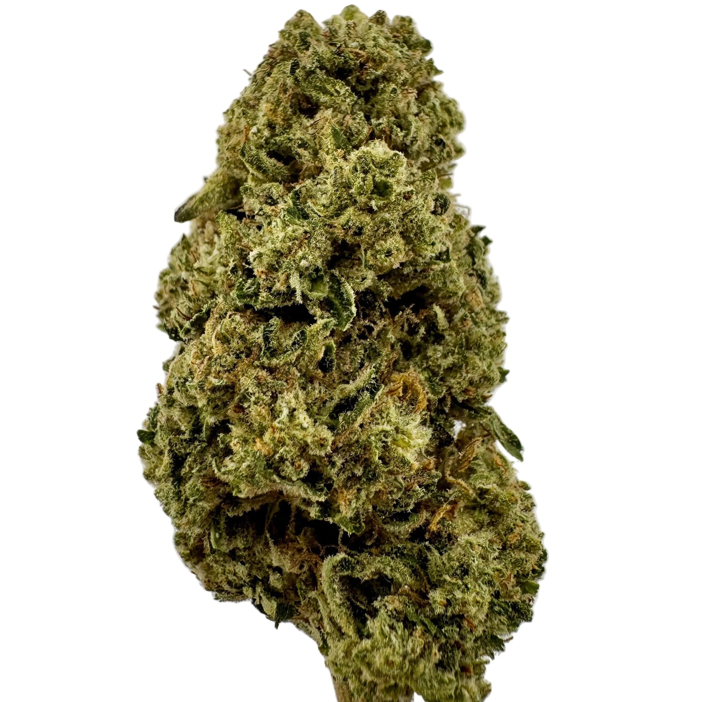 Close-up of a cannabis bud on a light gray background