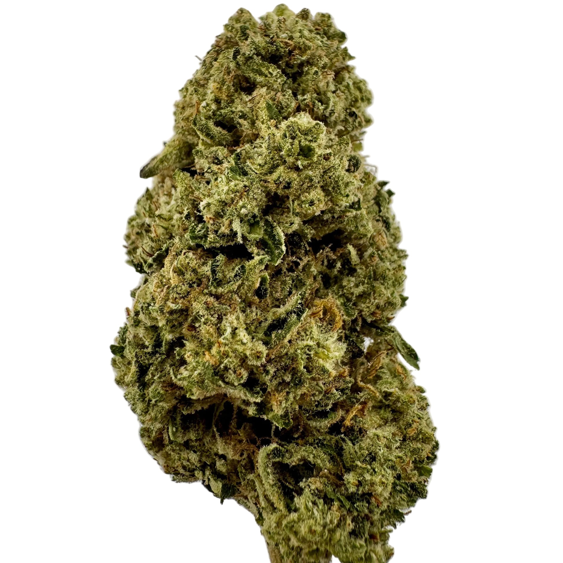 Close-up of a cannabis bud on a light gray background