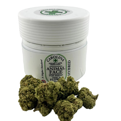 Jar of Carolina Hemp Cafe dispensary product with cannabis buds on a white background