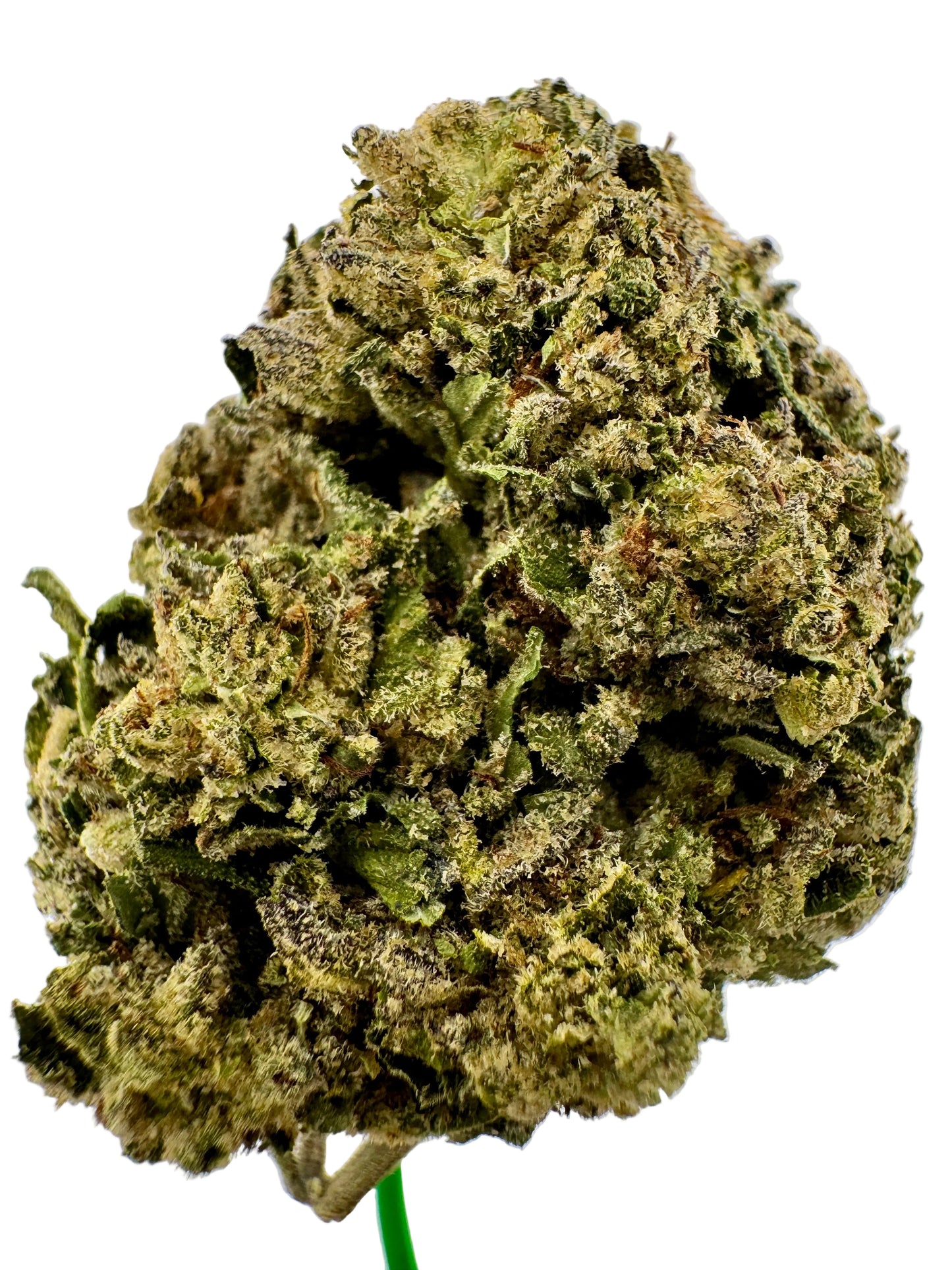 Close-up of a cannabis bud on a white background