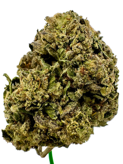 Close-up of a cannabis bud on a white background