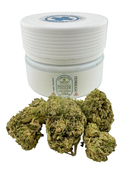 White container with cannabis buds on a white background