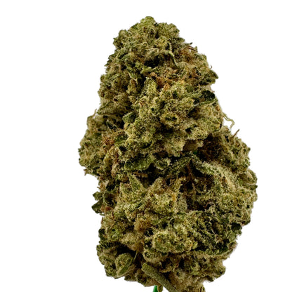 Close-up of a cannabis bud on a light gray background