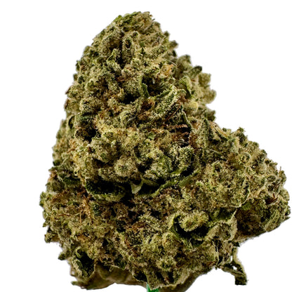 Close-up of a cannabis bud on a light gray background