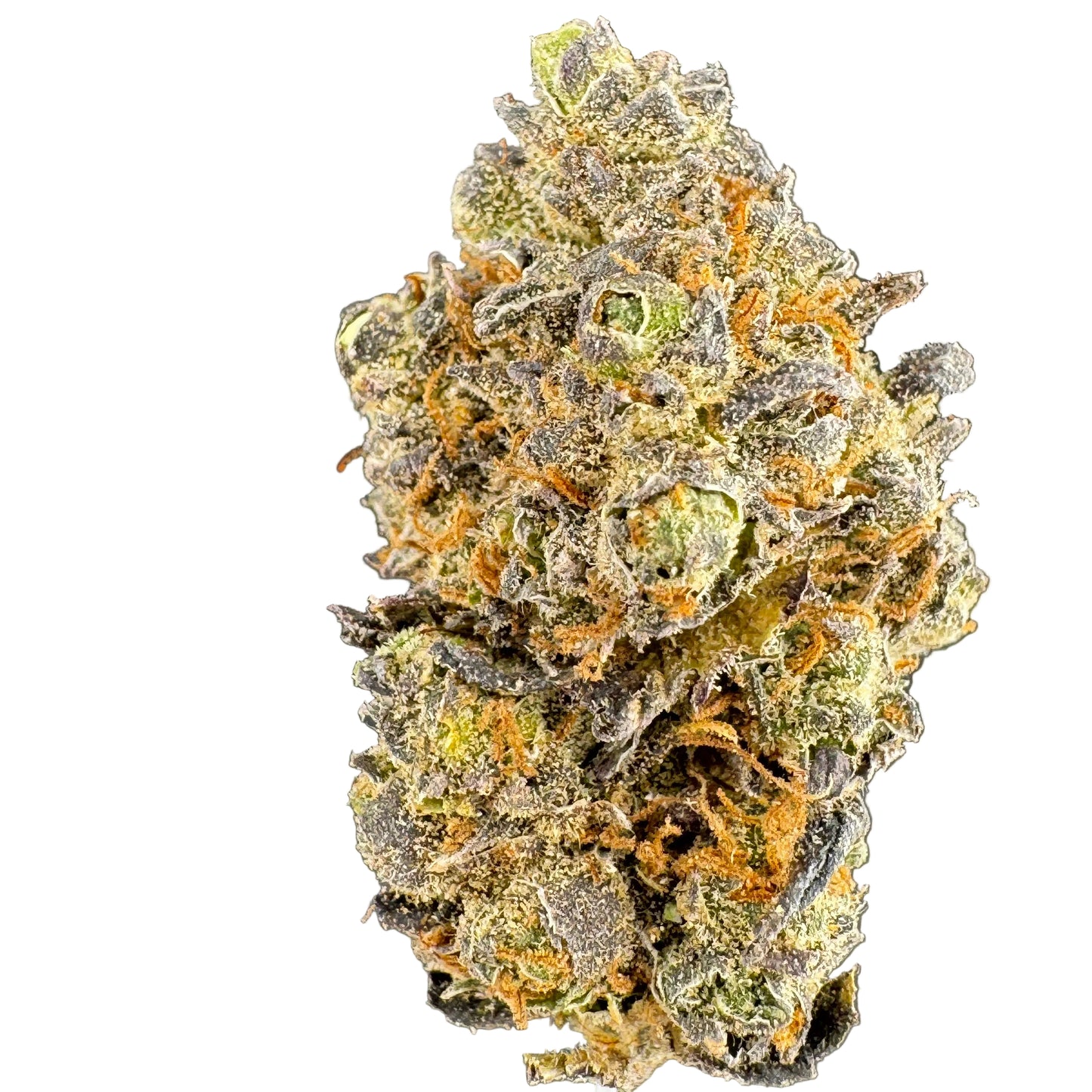 Close-up of a cannabis bud with a gray background