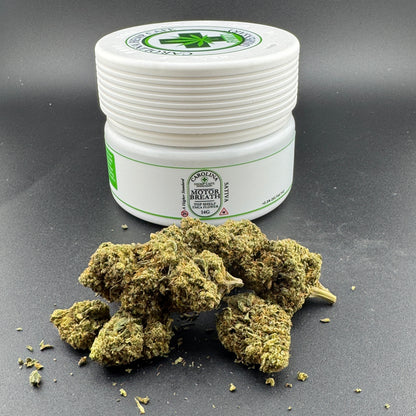 Motorbreath Top Shelf THCA Flower