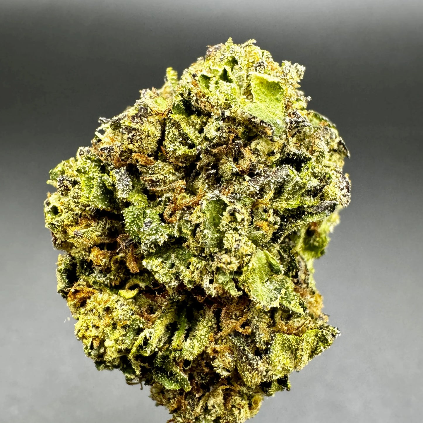 Sweet Cheese – Sativa Dominant Hybrid THCA Flower | Uplifting & Calming Effects Product vendor THCA Flower  Carolina Hemp Cafe