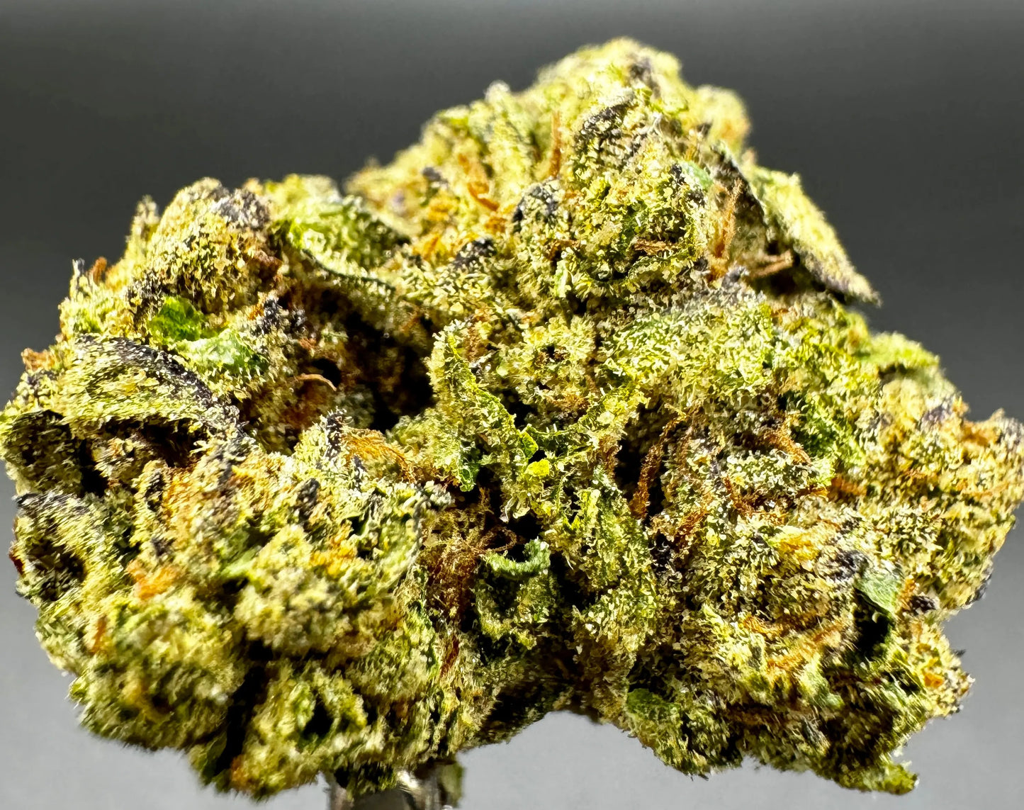 Sweet Cheese – Sativa Dominant Hybrid THCA Flower | Uplifting & Calming Effects Product vendor THCA Flower  Carolina Hemp Cafe