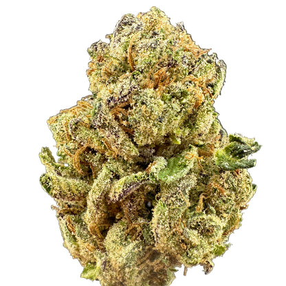 A close-up of a dried cannabis bud with dense green and yellowish-green trichomes, orange-brown hairs, and dark purple shading, set against a dark gray background.