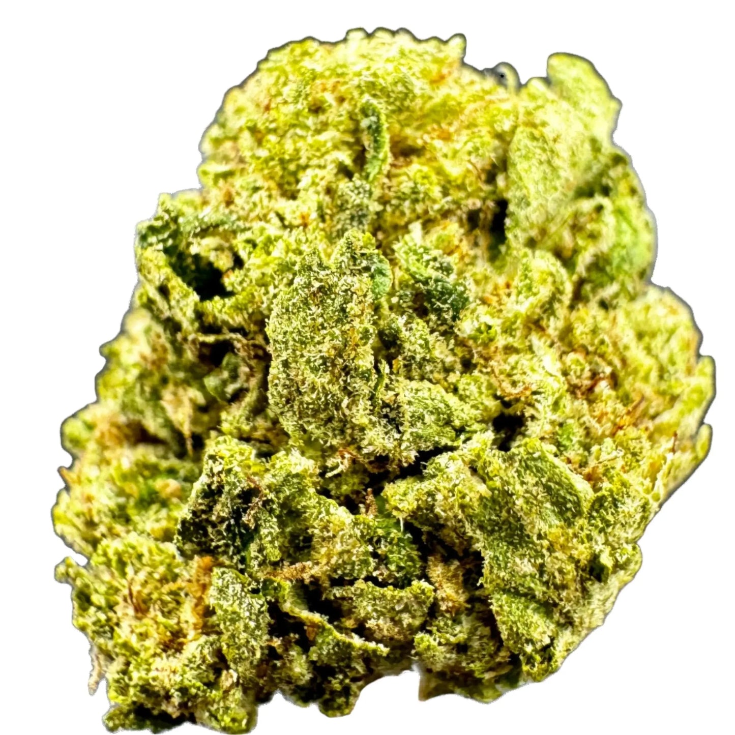 Durban Poison - Sativa - 21.8% Delta-9 THA Flower Product vendor THCA Flower  Carolina Hemp Cafe