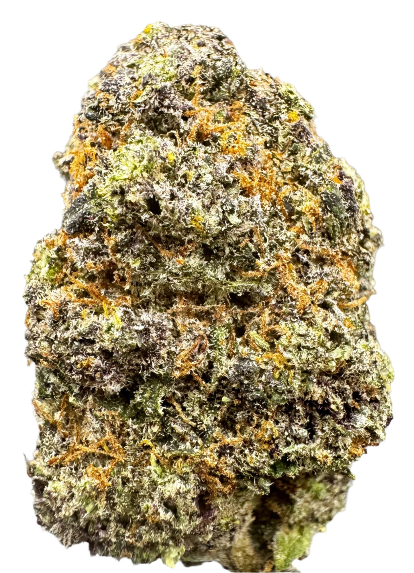 Granddaddy Purple: Indica  - 23.4% EXCLUSIVE from West Coast Reserve Exotic THCA Flower Series