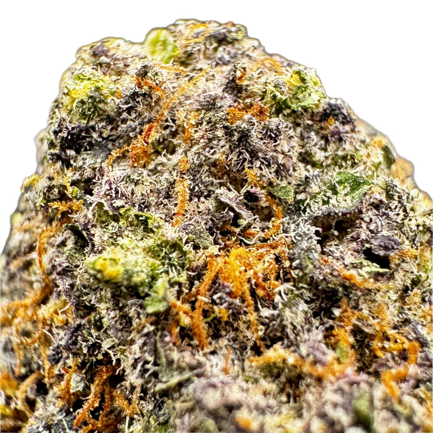 Granddaddy Purple: Indica  - 23.4% EXCLUSIVE from West Coast Reserve Exotic THCA Flower Series