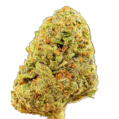 A close-up of a dried cannabis bud with a textured, mossy appearance, featuring green trichomes and orange-brown hairs against a dark gray gradient background.